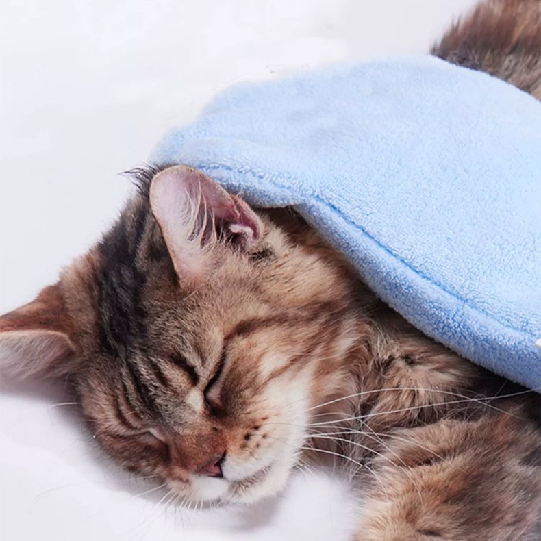 送料無料 ペット用タオル 手袋型 ボディタオル ペットグローブ 犬 イヌ いぬ 猫 ネコ ねこ フリース ミトン型 体拭き ループ付き 吸水 速乾 かわいい plusnao-10380905 Plus Nao サンプル画像3