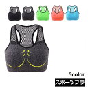 送料無料 スポーツブラ ブラジャー ブラトップ ハーフトップ レディース カップ付きインナー 下着 ノンワイヤー ランニング ジム メッシュ