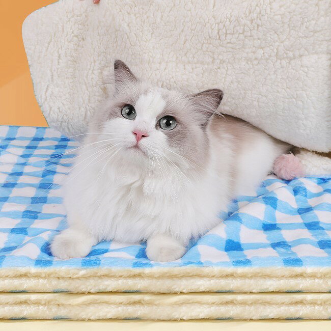 ����̵�� �ڥå��ѥ֥�󥱥å� �ڥå��ѥޥå� �ڥå��Ѥ����� ������ �淿�� ���� �ͥ� ǭ �ڥåȥ��å� �ڥå����� Ĺ���� 50cm 55cm S������ M������ �������� �ɴ� �ݥ�ݥ� �դ�դ� ���� �����å� ��å� �������� �֥롼 �İ��� ���塼�� �����奢�� �ݥå� �� ��