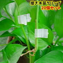 送料無料 接ぎ木苗クリップ 20個セット 接ぎ木挟み ガーデニング 園芸用品 茎クリップ 接ぎあわせ 穂木 台木 家庭菜園 野菜 植物 クリア 半透明
