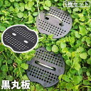 送料無料 黒丸板 固定板 6枚セット ピン無し 被覆資材押さえ具 防草シート 芝生 庭 人工芝 シート押え 固定具 止め具 園芸 ガーデニング 家庭菜園