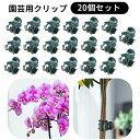 送料無料 園芸用クリップ 誘引クリップ 固定クリップ 支柱結束 20個入り 園芸用品 ガーデニング用品 結束バンド 固定バンド 誘引具 便利 簡単 留めるだけ 蔓花 蘭 つる サポート