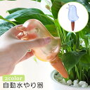 送料無料 自動水やり器 自動給水器 給水装置 給水タンク 容器 園芸用品 鉢植え 差し込み 陶器 透明 クリア 鳥型 おしゃれ かわいい 旅行時 留守中 便利 オート 観葉植物 ガーデニング