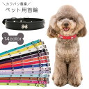 送料無料 首輪 カラー 小型犬 中型犬 大型犬 犬 猫 ペット用品 お散歩グッズ PUレザー 骨 ホネ ボーン 可愛い サイズ調節可能 軽量