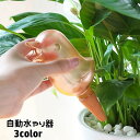 送料無料 自動水やり器 自動給水器 ガーデニング用品 200ml 鳥 とり バード 水差し 鉢植え 観葉植物 挿すだけ 園芸 室内 屋内 留守中 旅行 出張 お出掛け