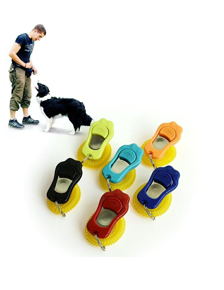 ����̵�� �ڥå��ѥ���å��� ��ū �ڥå����� �� ���� �ȥ졼�˥� ���� ���� ���Ĥ� �ꥹ�ȥ��ȥ�å��դ� 3�ʳ� �������ؤ� ���� ���� ��� �İ��� ����Х�˭��