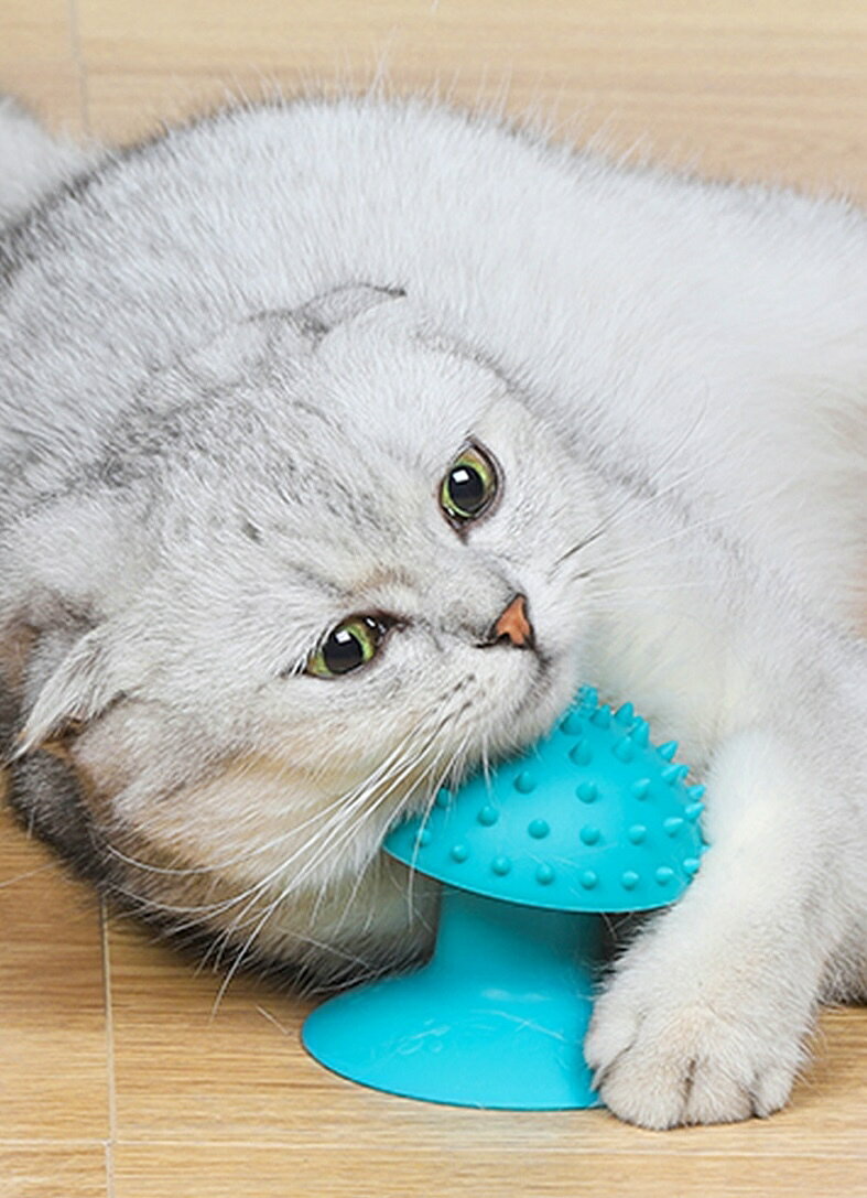 ����̵�� ����ե��롼�ߥ󥰥֥饷 ���롼�ߥ󥰥֥饷 ǭ���� ǭ �ڥå��Ѥ����������� �������� ���롼�ߥ����� �֥饷 �ڥå� �����դ� ǭ�ѥޥå������֥饷 �֥롼 ���졼 ������å��㡼