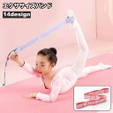 送料無料 エクササイズバンド ストレッチストラップ トレーニングチューブ ゴムバンド 子供 大人 ヨガストレッチ ヨガベルト フィットネスバンド エクササイズ ...