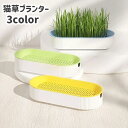 送料無料 猫草プランター 猫草ポット 猫草ボックス 水耕栽培 容器 ケースのみ 鉢 室内 屋内 シンプル おしゃれ ペット用品 ねこ ネコ