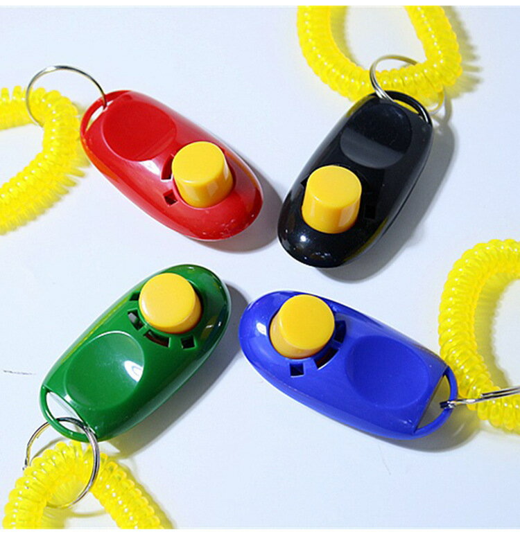 ����̵�� ����å��� �ڥå����� ���� ���Ĥ����� �ȥ졼�˥� ���� ���ߥ�˥�������� ���ץ�󥰥����դ� ����ѥ��� �ڥåȥ��å� ���� ����