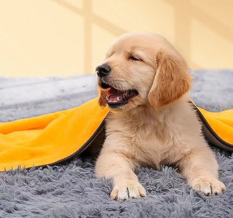 送料無料 ペット用バスタオル 50×100cm 犬 猫 大判 厚手 吸水 速乾 バスローブ 体...