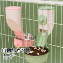 送料無料 自動餌やり器 猫 小型犬 ウサギ ペット用品 グレー グリーン ピンク シンプル 固定可能 ケージ