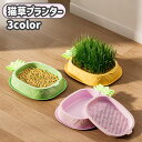 送料無料 猫草プランター 猫草ポット 猫草ボックス 水耕栽培 容器 ケースのみ 鉢 室内 屋内 シンプル おしゃれ ペット用品 ねこ ネコ 犬 いぬ イヌ