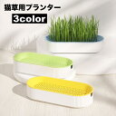 送料無料 猫草用プランター 水耕栽培 ペット用品 猫 屋内用 室内 栽培 猫草 葉っぱ 毛玉 胃腸 ストレス軽減 便秘予防 ねこ草