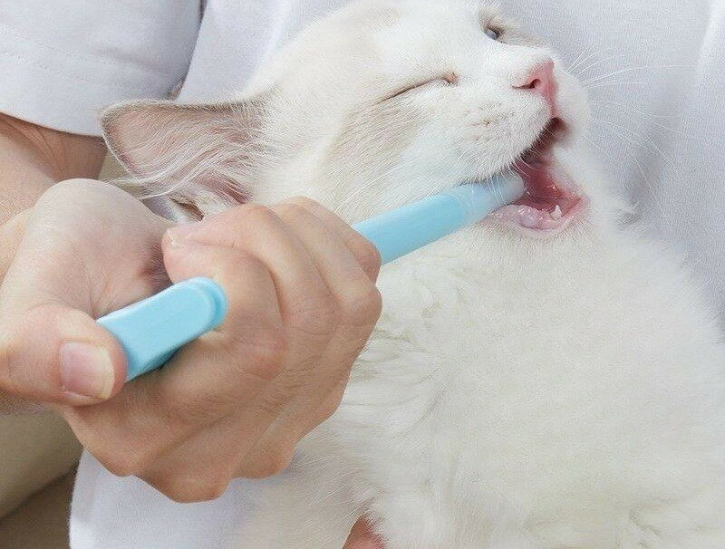 ����̵�� �ڥå��ѷи������� ǭ �� �ͤ� ���� ��ǭ���� �ڥå� ������ ���ݥ��� ������ ���ʹ﷿ ����ץ� ���� ���� ���� ��� ��� ���ݡ��� �� �ԥ� �� ñ��