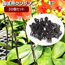 送料無料 園芸用クリップ 誘引クリップ 30個セット 支柱結束 固定 植物サポート 挟む 簡単 ガーデニング用品 園芸用品 誘引作業 家庭菜園 農業 野菜 花