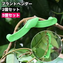 送料無料 プラントベンダー 5個セット プラントトレーニングクリップ 園芸用品 ガーデニング資材 植物の茎を曲げる サポートクリップ トレーニング クリップ 成長操作 植物 低木 野菜 枝クリップ 便利グッズ