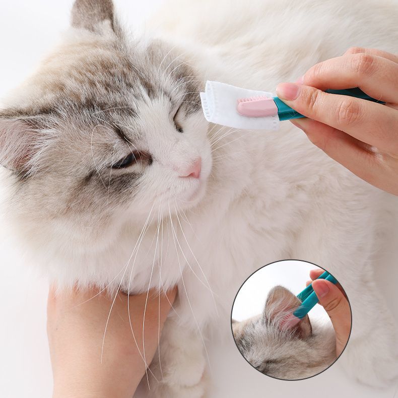 ����̵�� �ڥå��ѥԥ󥻥å� ǭ�� ���� �������� �ȥ�ߥ� �ܤ�˼�� ���ݽ� �������꡼�ʡ� ���餫�� ���ե� �ͥ� ���� �ڥå����� �������å�