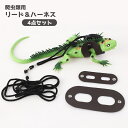 送料無料 爬虫類用リード ハーネス リード 4点セット 3サイズセット 蜥蜴 爬虫類 ペット用品 ペットグッズ ロープ 調節可能 小動物 散歩 お出かけ