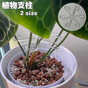 送料無料 植物支柱 園芸支柱 植物サポート 旋回型 ラウンド 花支柱 植木鉢用 観葉植物 サポート 茎ホルダー 固定クリップ 花支え 花ささえ ウンド 家庭菜園 ガーデニング 花 園芸用 透明 クリア シンプル 簡単設置 ガーデニング用品