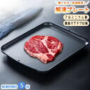 送料無料 解凍プレート 急速解凍 時短 粗熱取り アルミ A4サイズ 肉 魚 刺身 冷凍食品 解凍用プレート 解凍皿 自然解凍 置くだけ 電気不要 解凍トレー ...