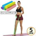 送料無料 トレーニングチューブ エクササイズバンド ゴムバンド ヨガベルト ストレッチ 筋トレ フィットネス 美尻 ダイエット 体幹 太もも