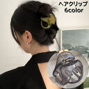 送料無料 ヘアクリップ ミニヘアクリップ レディース 女性 ヘアアクセサリー 髪留め 髪飾り ヘアアレンジ まとめ髪 ハーフアップ 小さめ 挟む かわいい
