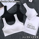 送料無料 ハーフトップブラ ノンワイヤーブラ ブラジャー 単品 レディース 女性 下着 インナー カップ付き パッド入り 楽ちん 締め付けない ホックなし 無地...