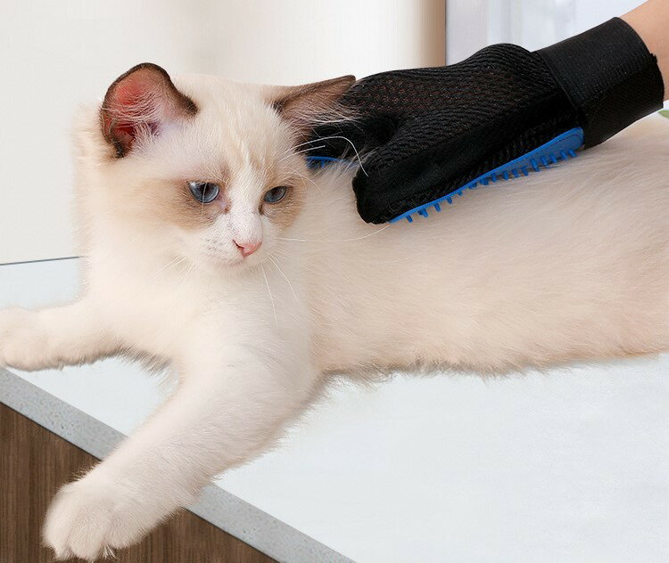 ����̵�� �ڥå��ѥ֥饷 ���롼�ߥ󥰥������� ��С��֥饷 �Ҽ��� ���޷� �ڥå����� �������� ǭ�� ���� �֥饷�դ����� �֥�å��� �������� ȴ�����к�