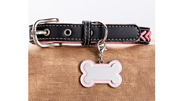 ����̵�� �ڥå����»һ� ̾�� �͡��ॿ�� �͡�����㡼�� ��ǭ���� �ɥå����� ����åȥ��� �� ǭ ���إ��������꡼ �� �ۥ� �»��ɻ� ����ץ� ���襤�� ���塼�� ������� �ڥå�����