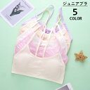 送料無料 ジュニアブラ ファーストブラ ハーフトップブラ カップ付き キッズ 女の子 インナー 下着 ノンワイヤー ミニリボン シンプル 小学生 中学生 女子