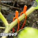 送料無料 園芸クリップ 100個セット フォーク 植物 茎 蔓 つる 固定 誘引 留める 地面 土 ガーデニング用品 農業 苺 イチゴ スイカ サツマイモ 簡単...