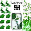 送料無料 誘引クリップ 10個セット 園芸クリップ 固定クリップ 壁掛け 両面テープ リーフ型 農業 園芸 ガーデニング 接木 結束 バンド 固定 つる 花 野...
