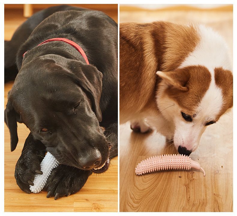 ����̵�� ���Ѥ������ ���४����� ����ǻ��᤭ �ɥå��ȥ� �ڥåȥȥ� ��� ���奦�귿 �͵� ���ȥ쥹��� ��ư��­��� ��ˡ���