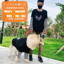 送料無料 ペットウェア ペット服 ドッグウェア Tシャツ ペットとお揃い ペアルック 大型犬 メンズ 男性 トップス 半袖 袖あり 羽根 プリント ブラック ボ...