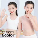 送料無料 ジュニアブラ ノンワイヤーブラ ハーフトップブラ ブラジャー 下着 子供用 ジュニア 小学生 中学生 カップなし パッドなし リブ スポーツブラ 無地 単色 シンプル スポーティー 普段使い おしゃれ かわいい シンプル 女の子 女児 ガールズ