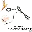 送料無料 鳥用リード バードリード インコ オウム 小鳥 リード 2m リストストラップ付き シンプル 外出 散歩 お出かけシーン 迷子防止 鳥用品 ペット用品 黒 ブラック