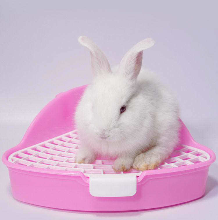 Plus Naoの送料無料 小動物用トイレ ウサギ用 兎 三角トイレ フック付き ペット用品 小型 お手入れ簡単 扇形 コーナー 角 ケージ固定 ラビット ペットグッズ｜アングル2
