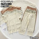 送料無料 パジャマ ルームウェア 上下 2点セット 子供 キッズ ベビー トップス ボトムス 女の子 男の子 半袖 カットソー ロングパンツ 長ズボン ドット柄...