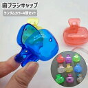 送料無料 歯ブラシヘッドカバー 歯ブラシキャップ 4個セット ランダムカラー 洗面用品 歯磨き 持ち歩き 携帯 旅行 出張 トラベル クリア