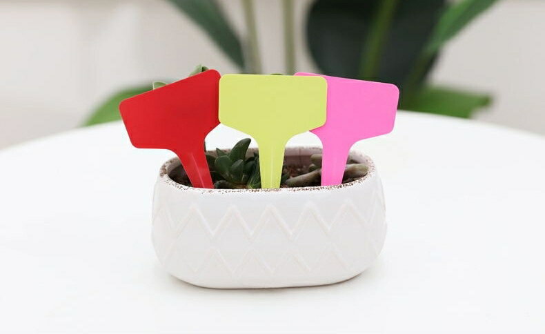 ����̵�� ����ѥ�٥� 100�祻�å� �ե������� �����ǥ˥� ���� ����ȭ �ץ�󥿡� ���� �� ���� �ż� ��ʪ ���� ����ե� ̵�� ����ץ�