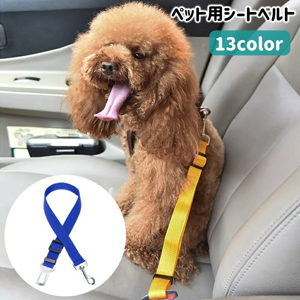 ̵ ڥåѥȥ٥ ѥ٥  ǭ ڥå ѥ꡼ ɥ饤 Ǥ ñ ӽФɻ ̵ ...