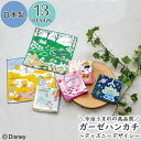 送料無料 ハンカチ ディズニー 今治うまれのハンカチ 今治 プラスナオ 日本製 綿100% キャラクター 24cm タオルハンカチ ガーゼ かわいい 女の子 男...