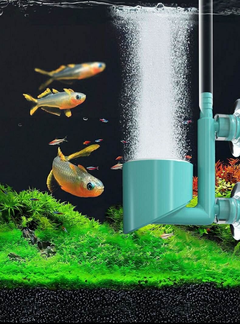 ����̵�� �����ѥ����졼����� �������ȡ��� �������졼����� ���������ȡ��� �Х֥륹�ȡ��� Ǯ�ӵ� ��� �����դ� ����ץ� ���� �������ꥦ�� ���Ƕ��� �ڥå����� �� �ԥ� ��