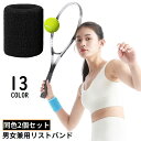 送料無料 リストバンド 手首サポーター 同色2個セット 男女兼用 パイル地 タオル地 汗止め 吸汗 通気性 スポーツ テニス バスケ 野球