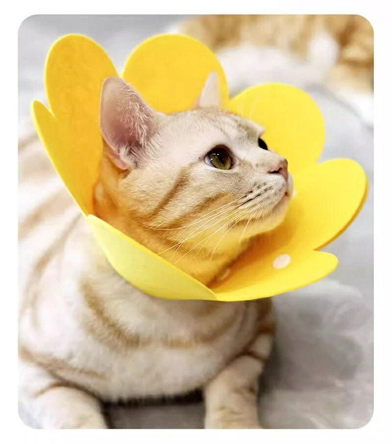 Plus Naoの送料無料 エリザベスカラー 猫 ネコ 犬 イヌ ペット用品 舐め防止 引っかき 傷口保護 調節可能 怪我 ケア用品 スナップボタン｜アングル3
