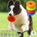 送料無料 犬用おもちゃ 噛むおもちゃ 犬用 イヌ ドッグ デンタルトイ デンタルケア 歯ブラシ 歯磨き 突起付き ペットトイ ペット用おもちゃ ペット用品 玩具...