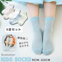 送料無料 靴下 ソックス 5足セット 5足組 ベビー キッズ クルー丈 通気性 夏 春 女の子 男の子 9cm 10cm 12cm14cm 16cm 18cm ...