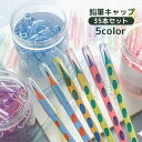 送料無料 鉛筆キャップ 35本セット 大量 えんぴつキャップ ペンシルカバー ペンカバー 文具 文房具 ステーショナリー 学用品 透明 クリア おしゃれ シンプ...