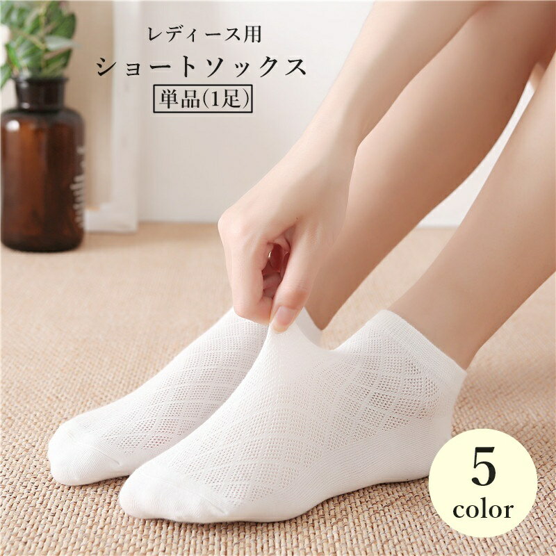 ����̵�� ���硼�ȥ��å��� ñ�� 1­ ����֤����å��� ��ǥ����� ���� �ؿ� ���� ���Ĳ� Ʃ���� ��å��� ���󥯥� ���襤�� ������� �̵���